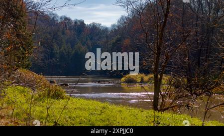 Smaller cascade on the river flowing through the forest Stock Photo