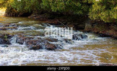 Smaller cascade on the river flowing through the forest Stock Photo