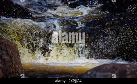 Smaller cascade on the river flowing through the forest Stock Photo