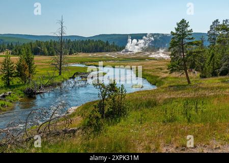 Castle geyser eruption and volcanic activity, Yellowstone national park, Wyoming, USA. Stock Photo