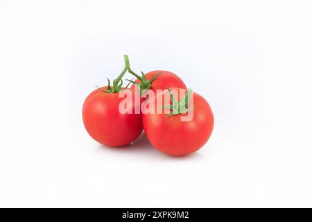 Fresh tomatoes isolated on white background. Stock Photo