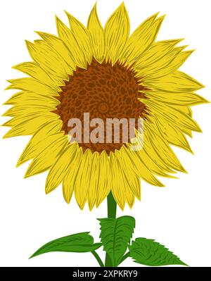 Illustration of a sunflower design. Perfect for poster, website, banner, book cover, invitation, video, sticker or tattoo elements. Stock Vector
