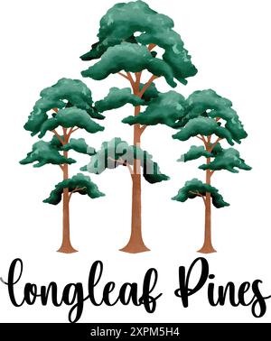 Long leaf pines  watercolor illustration, green longleaf pines Stock Vector