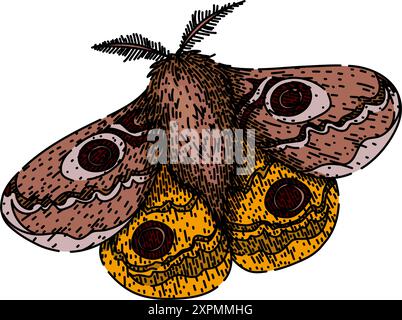 camouflage night moth sketch hand drawn vector Stock Vector Image & Art ...