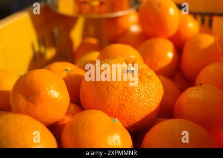 Ripe tangerines in a basket, close-up. Stock Photo