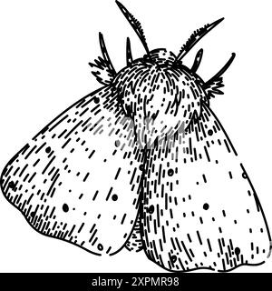 camouflage night moth sketch hand drawn vector Stock Vector Image & Art ...