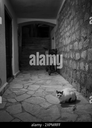 Cres, Croatia - October 23, 2022: Narrow street in Cres with cat during night, black and white Stock Photo