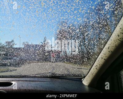 Car wash foam on a windshield, view from inside car. Auto Wash. Washing the dirt off the car with foam. Stock Photo