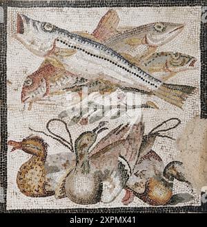 Roman mosaic - From the House of the Grand Duke of Tuscany (IX, 2, 27), Pompeii Fish and ducks Stock Photo