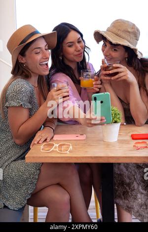 Three woman toasting ,dinner happy friends.Vertical Stock Photo