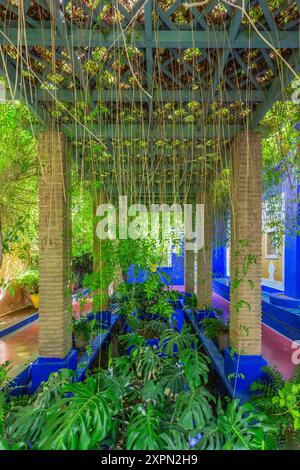 Water pond under a pergola invaded by lush vegetation. Stock Photo