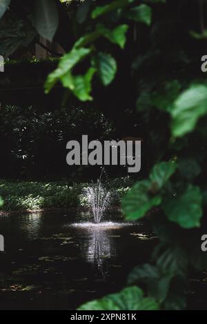 Tranquil pond featuring a grand fountain amidst lush greenery Stock Photo