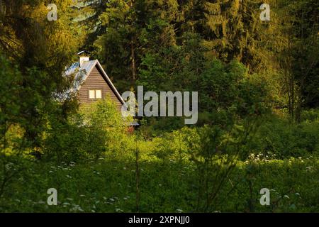 Wooden cabin in the forest.Beautiful natural surrounding. High quality photo Stock Photo