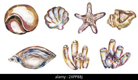 Graphic acrylic hand drawn sea shells frame, sea star and corals wreath ...