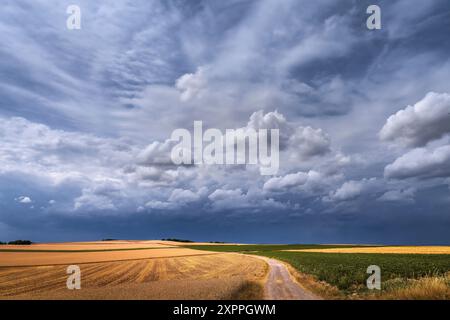 Dark storm clouds over bright cornfields, Bavaria, Germany Stock Photo