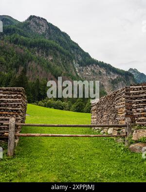 Picturesque landscape in  mountainous area. Huge rock formations. On a green meadow, felled trees and firewood are stacked. Wooden fence for cows. Hoh Stock Photo