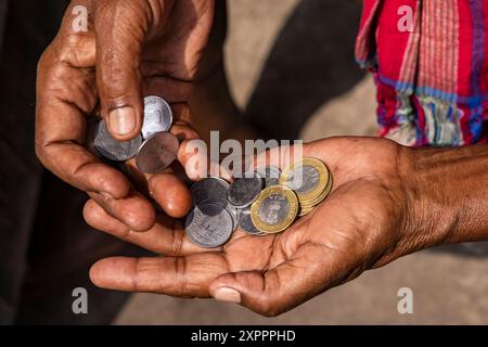 Voroniny jinsiy parodiya seriyasi