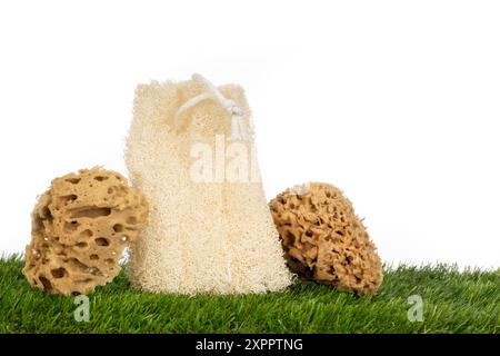 Single Exfoliating Sponge on Grass Stock Photo