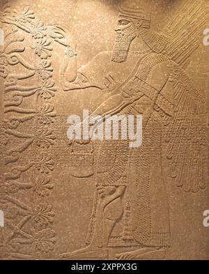 Relief of a protective deity with sacred tree, Iraq, Assyrian, 883-859 BCE Gypsum, Boston Fine Art Museum Stock Photo