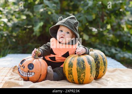 baby dressed in adorable pumpkin costume sits among pumpkins, holding one in each hand. festive spirit of Halloween and charm of childhood in a garden Stock Photo