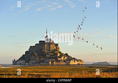 Mont-Saint-Michel bay, Manche department, Normandy region, France, Europe. Stock Photo