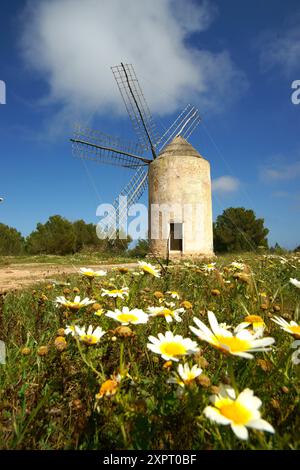 Moli Vell de la Mola 1778 El Pilar de la Mola Formentera Balearic Islands Spain Pitiusas Stock Photo