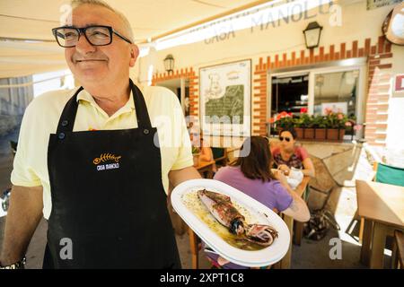 fresh squid in its ink, typical Majorcan dish, Bodega Can Barahona, - Can Manolo, Ses Salines, region Migjorn, Mallorca, Balearic Islands, Spain. Stock Photo