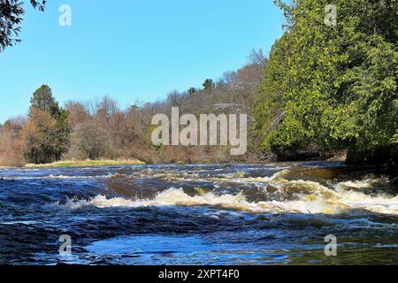Smaller cascade on the river flowing through the forest Stock Photo