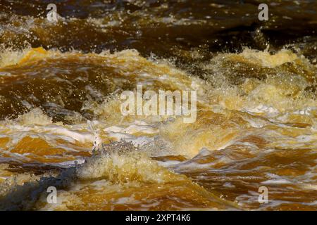 Smaller cascade on the river flowing through the forest Stock Photo