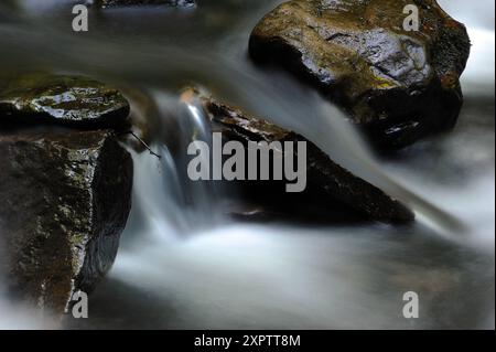 Melincourt Brook just below Melincourt Falls. Stock Photo