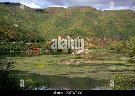 villages along West Morava river, Lake Medjuvrsje, central Serbia Stock Photo