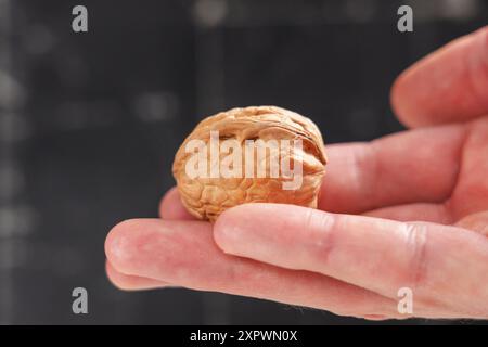 Fresh walnut seed in hand on a black grunge background. Organic whole uncracked nut in textured shell Stock Photo