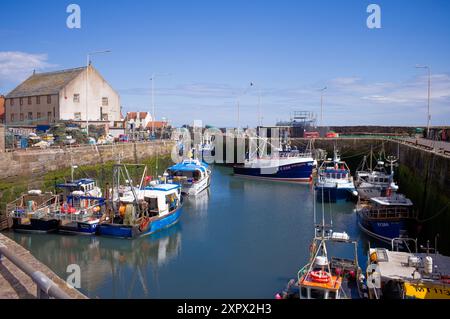 Pittenweem harbour is home to many Scottish fishing boats Stock Photo