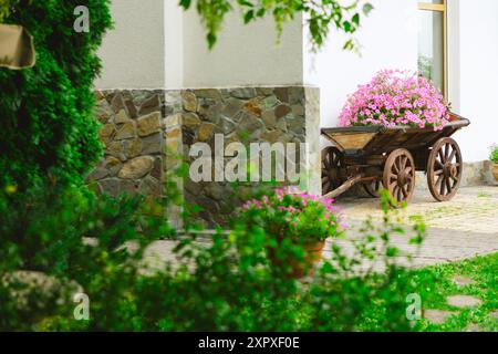 A flower bed in an old wooden cart. Stock Photo