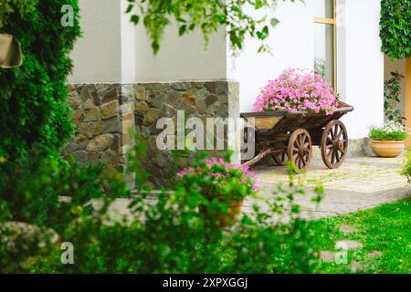 A flower bed in an old wooden cart. Stock Photo