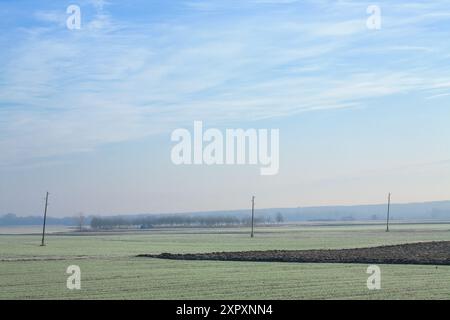 A vast, frosty field stretches out under a serene, blue sky. Sparse trees and telephone poles dot the landscape, creating a peaceful winter scene. Stock Photo