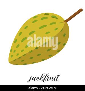 Illustration of jackfruit isolated on white background. Summer tropical fruit. Stock Vector