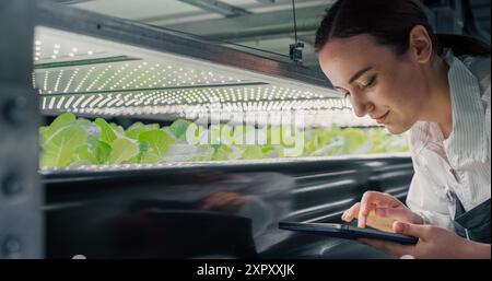 Female Biology Scientist Closely Inspecting and Analyzing Young Growing Crops. Farming Engineer Using Tablet Computer and Working in Vertical Farm Next to Rack with Natural Eco Plants Stock Photo