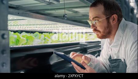 Adult Biology Scientist Closely Inspecting and Analyzing Young Growing Crops. Farming Engineer Using Tablet Computer and Working in a Modern Vertical Farm Next to Rack with Natural Eco Plants Stock Photo