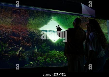 A visitor gestures towards the lush underwater scenery in Takashi Amano's 'Forests Underwater' exhibit, highlighting the beauty of aquatic life Stock Photo