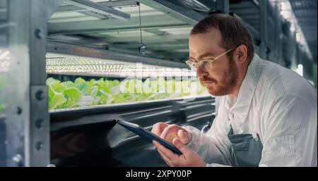 Adult Biology Scientist Closely Inspecting and Analyzing Young Growing Crops. Farming Engineer Using Tablet Computer and Working in a Vertical Farm Next to Rack with Natural Eco Plants Stock Photo