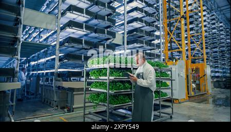 Portrait of a Young Biology Scientist Closely Inspecting and Analyzing Young Growing Crops. Farming Engineer Using Tablet Computer and Working in a Vertical Farm Next Natural Basil Plants Stock Photo