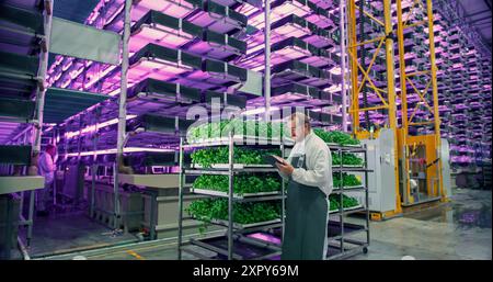 Portrait of a Young Biology Scientist Closely Inspecting and Analyzing Young Growing Crops. Farming Engineer Using Tablet and Working in a Vertical Farm Next Natural Basil Plants Under Neon Led Light. Stock Photo