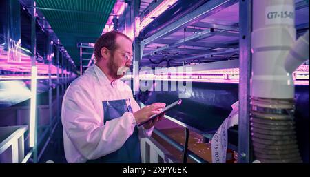 Portrait of Farming Technician Standing Next to a Row of Fresh Crops Growing at a Modern Vertical Farm With UV Lights. Horticulturist in Using Tablet Computer to Organize and Analyze Plant Information Stock Photo