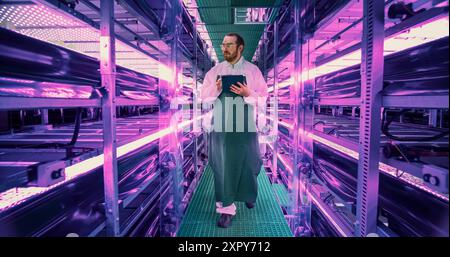 Farming Technician Walking Between Rows of Produce at a Modern Vertical Farm With UV Lights. Young Horticulturist in Protective Uniform Using Tablet Computer to Organize and Analyze Plant Information Stock Photo