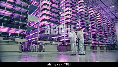 Work at an Advanced Vertical Farm WIth LED UV Lights. Two Facility Workers Discussing Business, Using Tablet Computer while Monitoring Farming Produce Optimization for Increased Agricultural Yields Stock Photo