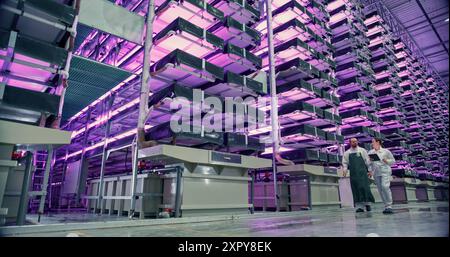 Vertical Farm Operators Having a Conversation at Work while Walking in a Hall with Plants on a Rack. Workers Growing Sustainable Produce with an Industrial Scale Hydroponics System WIth UV Lightning Stock Photo