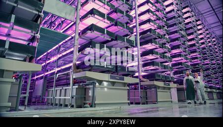 Vertical Farm Operators Having a Conversation at Work while Walking in a Hall with Plants on a Rack. Workers Growing Sustainable Produce with an Industrial Scale Hydroponics System WIth UV Lights Stock Photo