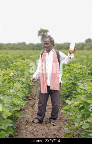 Indian farmer spraying pesticide on wheat crop Stock Photo - Alamy