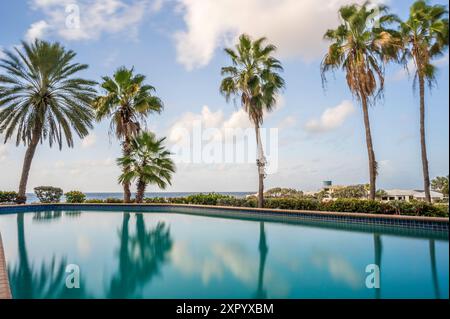 Tall palm trees reflected in the calm water of a tropical swimming pool Stock Photo